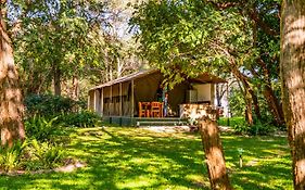 Zambezi Mubala Camp